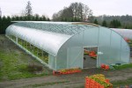 Folia ogrodnicza - tunelowa transparentna Gardenvit 14x33m UV10